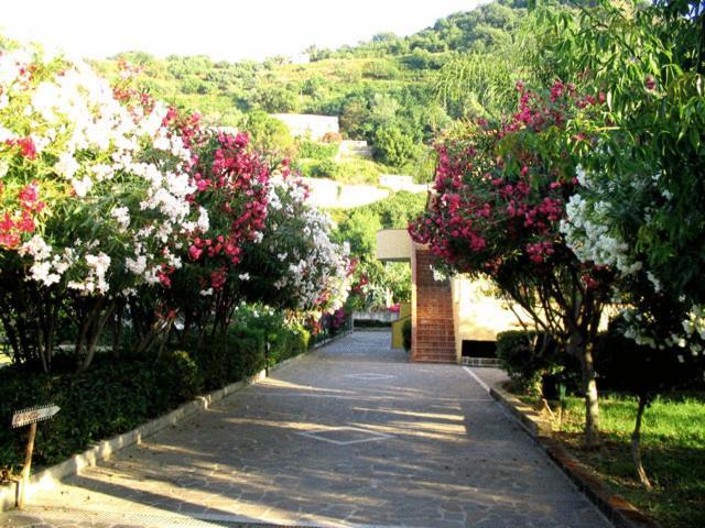 Villaggio Hotel Club Calanovellamare Piraino Kültér fotó